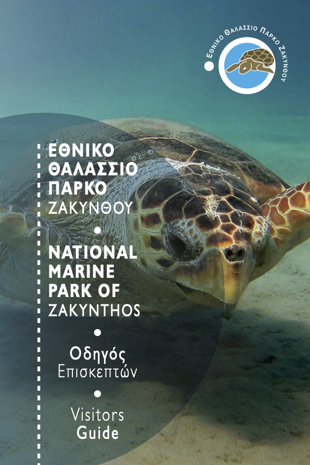 Caretta Caretta